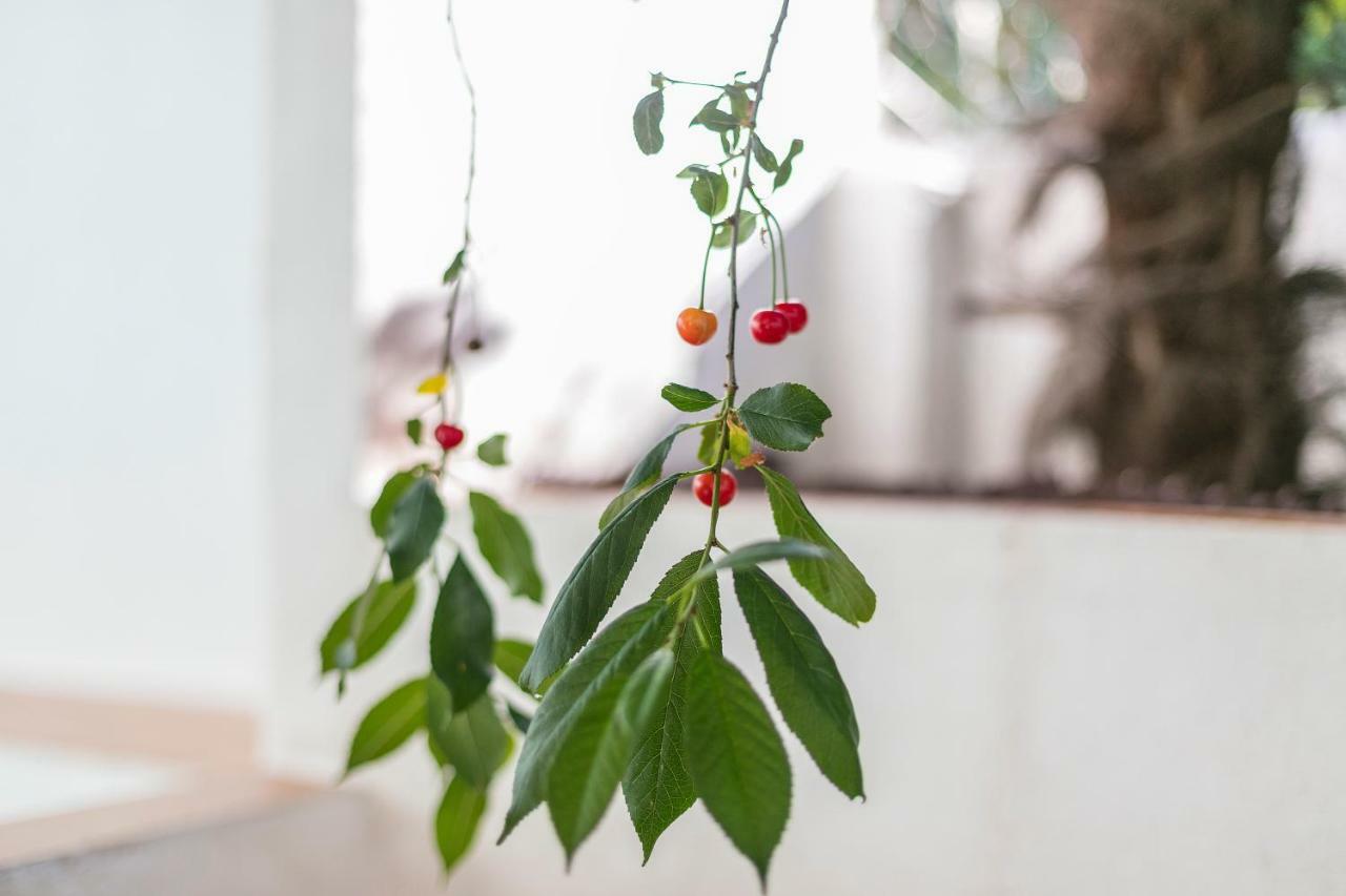Fragrant Garden Apartment Lisboa Eksteriør billede